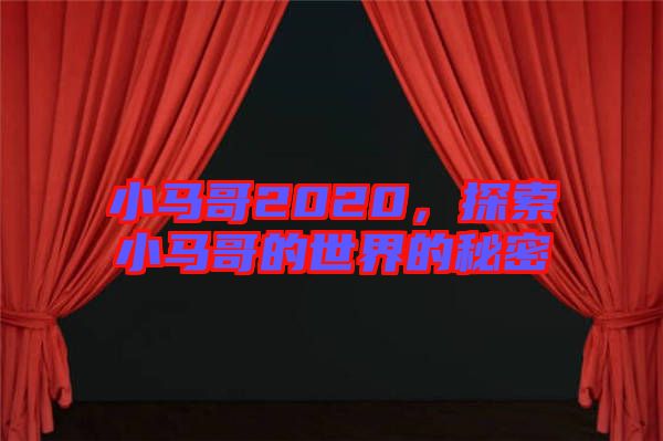 小馬哥2020，探索小馬哥的世界的秘密