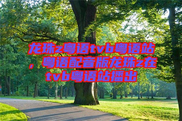 龍珠z粵語tvb粵語站，粵語配音版龍珠z在tvb粵語站播出