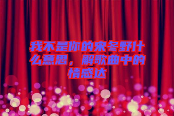 我不是你的宋冬野什么意思，解歌曲中的情感達