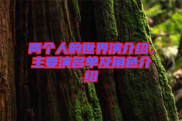兩個(gè)人的世界演介紹，主要演名單及角色介紹