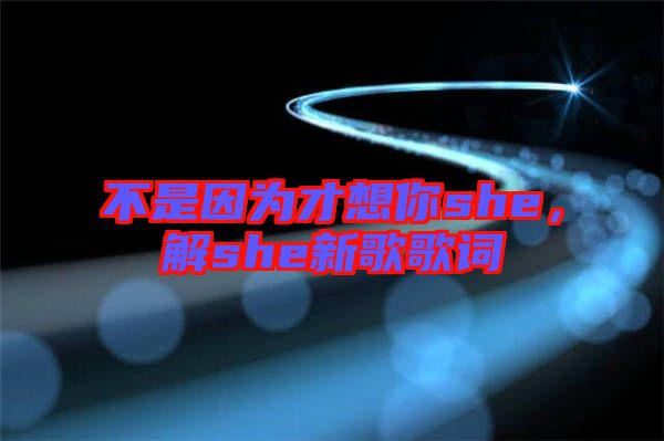 不是因?yàn)椴畔肽鉺he，解she新歌歌詞