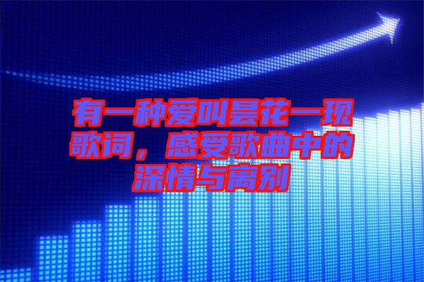 有一種愛叫曇花一現(xiàn)歌詞，感受歌曲中的深情與離別