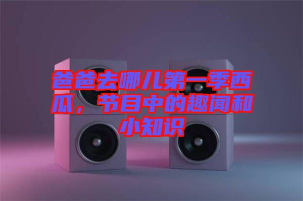 爸爸去哪兒第一季西瓜，節(jié)目中的趣聞和小知識