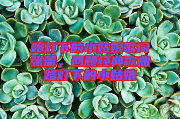 路燈下的小姑娘歌詞張薔，回顧經(jīng)典歌曲路燈下的小姑娘