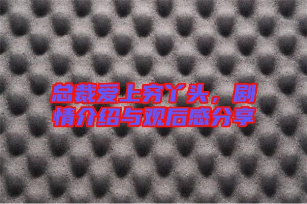 總裁愛上窮丫頭，劇情介紹與觀后感分享