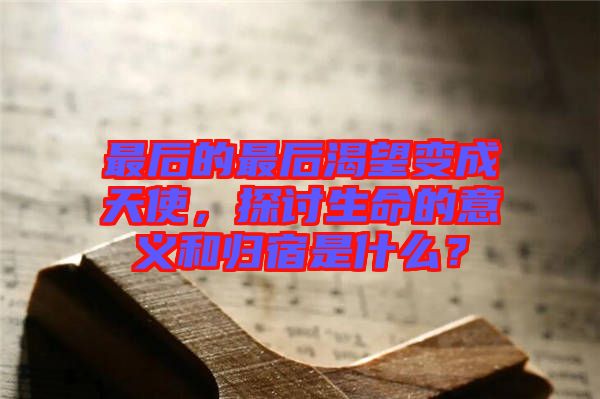 最后的最后渴望變成天使，探討生命的意義和歸宿是什么？
