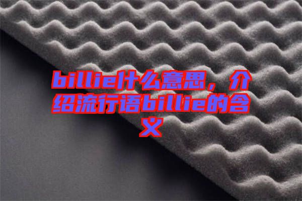 billie什么意思，介紹流行語billie的含義