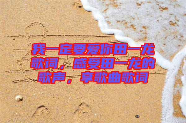 我一定要愛你田一龍歌詞，感受田一龍的歌聲，享歌曲歌詞