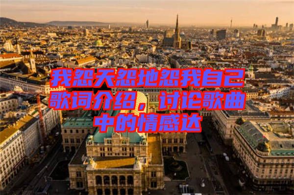 我怨天怨地怨我自己歌詞介紹，討論歌曲中的情感達