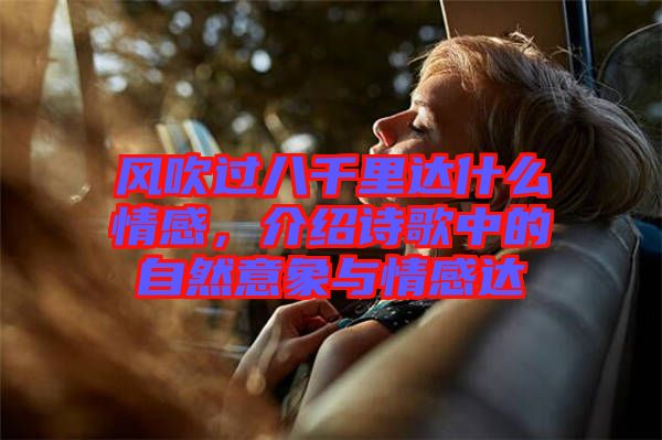 風(fēng)吹過八千里達(dá)什么情感，介紹詩歌中的自然意象與情感達(dá)