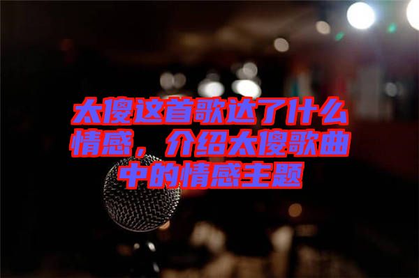 太傻這首歌達(dá)了什么情感，介紹太傻歌曲中的情感主題