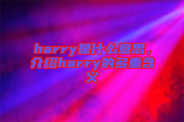 harry是什么意思，介紹harry的多重含義