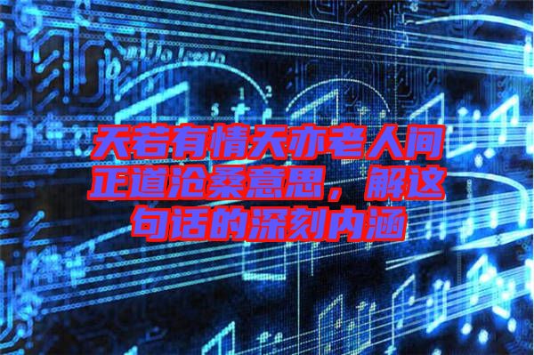天若有情天亦老人間正道滄桑意思，解這句話的深刻內(nèi)涵