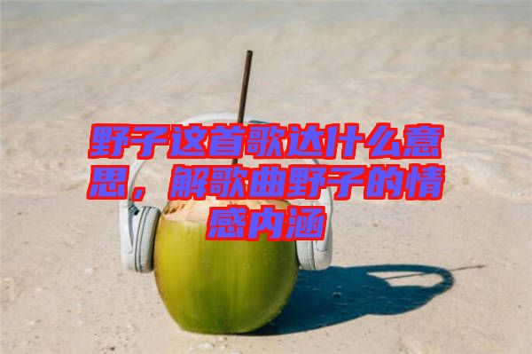 野子這首歌達(dá)什么意思，解歌曲野子的情感內(nèi)涵