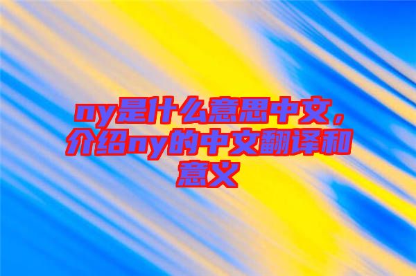 ny是什么意思中文，介紹ny的中文翻譯和意義