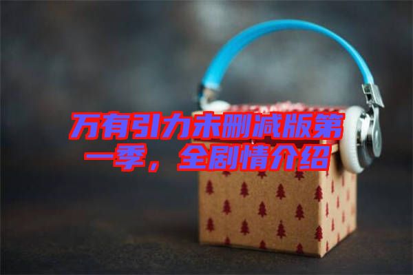 萬有引力未刪減版第一季，全劇情介紹