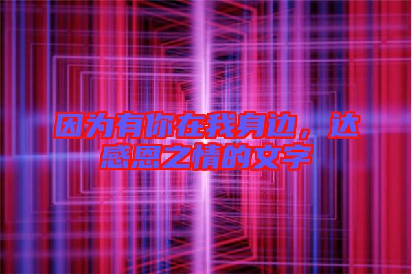 因為有你在我身邊，達(dá)感恩之情的文字