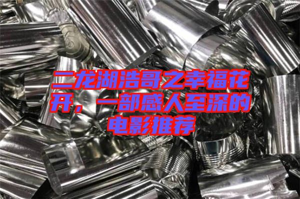 二龍湖浩哥之幸?；ㄩ_，一部感人至深的電影推薦