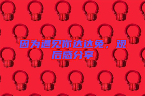 因?yàn)橛鲆娔氵_(dá)達(dá)兔，觀后感分享