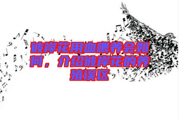 彼岸花用血喂養(yǎng)會如何，介紹彼岸花的養(yǎng)殖誤區(qū)