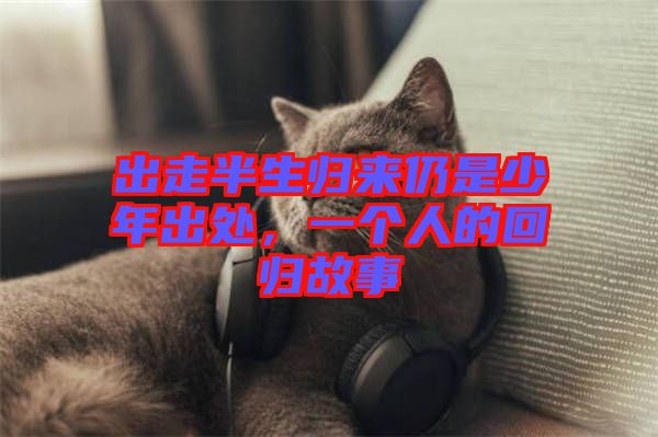 出走半生歸來仍是少年出處，一個人的回歸故事