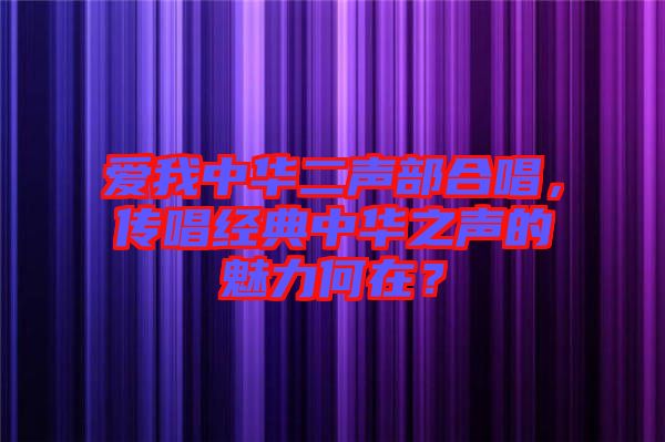 愛(ài)我中華二聲部合唱，傳唱經(jīng)典中華之聲的魅力何在？