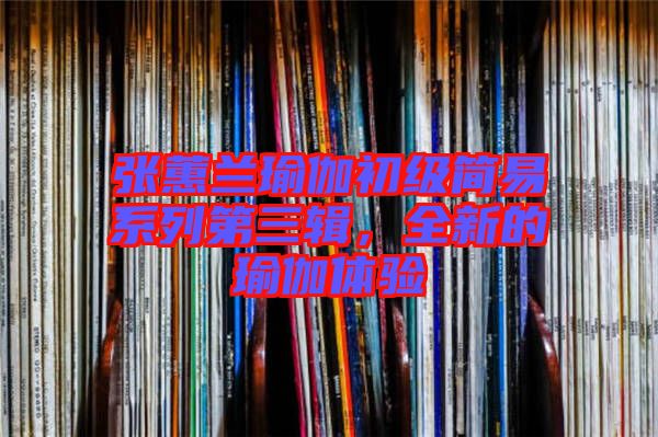 張蕙蘭瑜伽初級簡易系列第三輯，全新的瑜伽體驗
