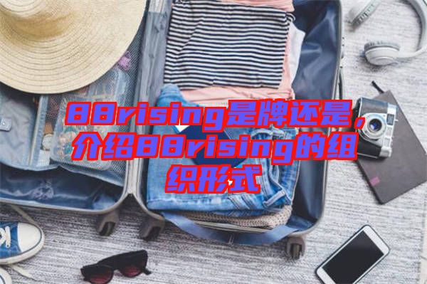 88rising是牌還是，介紹88rising的組織形式
