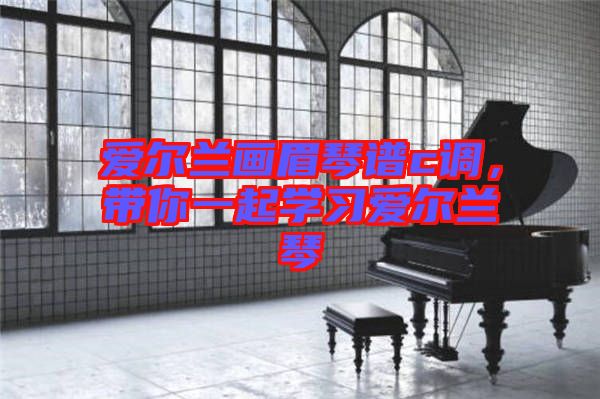 愛爾蘭畫眉琴譜c調(diào)，帶你一起學(xué)習(xí)愛爾蘭琴