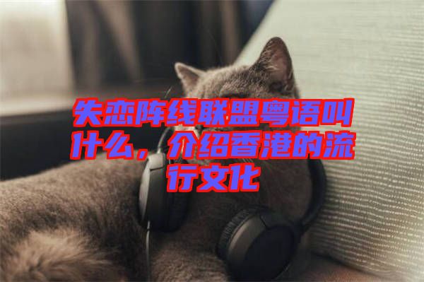 失戀陣線聯(lián)盟粵語叫什么，介紹香港的流行文化