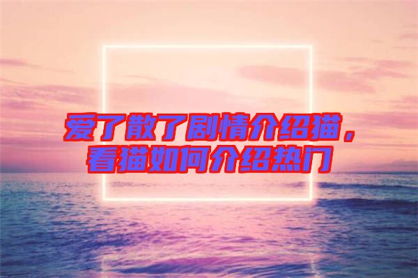 愛了散了劇情介紹貓，看貓如何介紹熱門