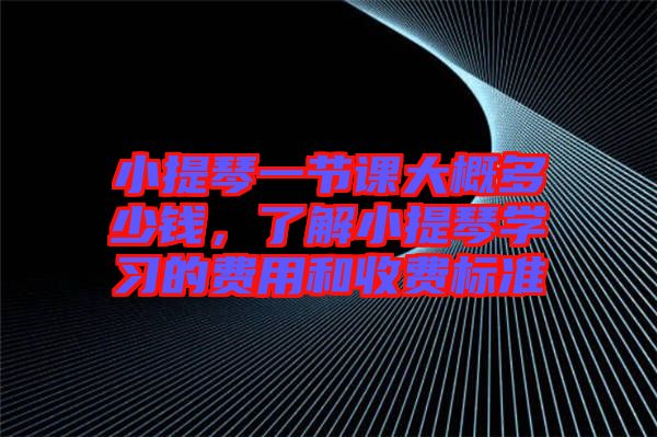 小提琴一節(jié)課大概多少錢，了解小提琴學(xué)習(xí)的費(fèi)用和收費(fèi)標(biāo)準(zhǔn)