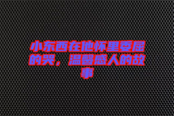 小東西在他懷里委屈的哭，溫馨感人的故事