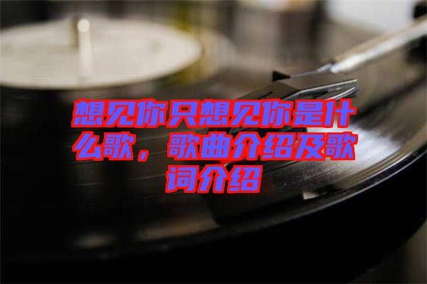 想見你只想見你是什么歌，歌曲介紹及歌詞介紹