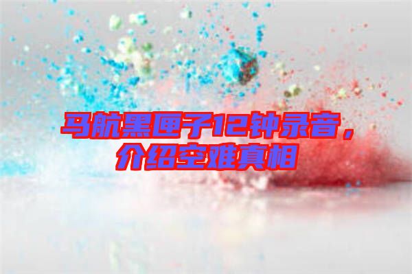 馬航黑匣子12鐘錄音，介紹空難真相