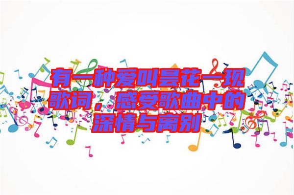 有一種愛(ài)叫曇花一現(xiàn)歌詞，感受歌曲中的深情與離別