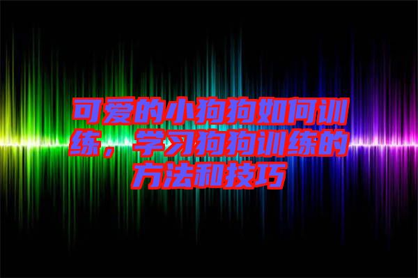 可愛的小狗狗如何訓(xùn)練，學(xué)習(xí)狗狗訓(xùn)練的方法和技巧