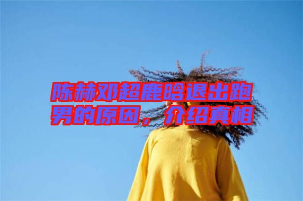 陳赫鄧超鹿晗退出跑男的原因，介紹真相