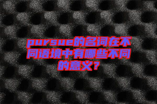 pursue的名詞在不同語境中有哪些不同的意義？