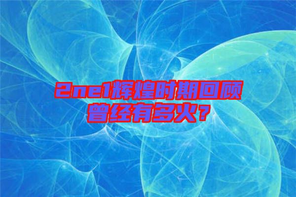 2ne1輝煌時(shí)期回顧曾經(jīng)有多火？