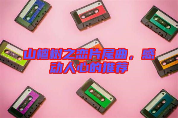 山楂樹(shù)之戀片尾曲，感動(dòng)人心的推薦