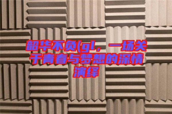 韶華不負(fù)(gl，一場關(guān)于青春與夢想的深情演繹