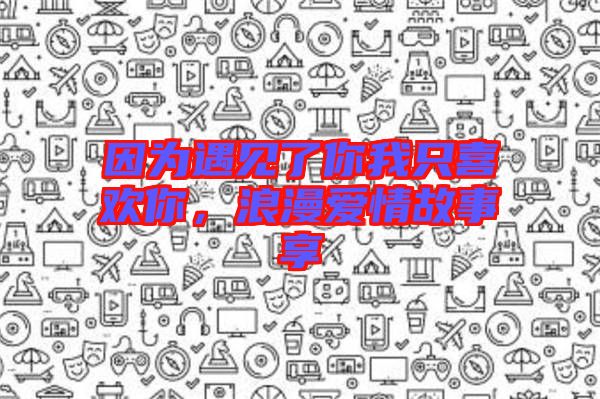 因?yàn)橛鲆?jiàn)了你我只喜歡你，浪漫愛(ài)情故事享