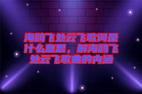 海鷗飛處云飛歌詞是什么意思，解海鷗飛處云飛歌曲的內(nèi)涵
