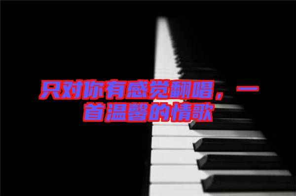 只對你有感覺翻唱，一首溫馨的情歌