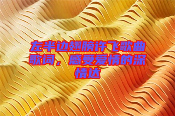 左半邊翅膀許飛歌曲歌詞，感受愛情的深情達(dá)