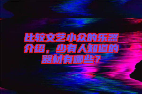 比較文藝小眾的樂器介紹，少有人知道的器材有哪些？