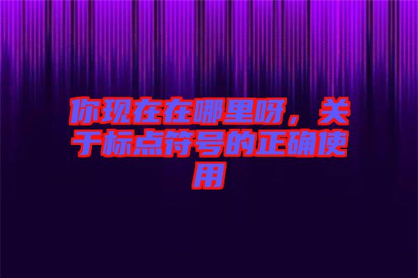 你現(xiàn)在在哪里呀，關(guān)于標點符號的正確使用