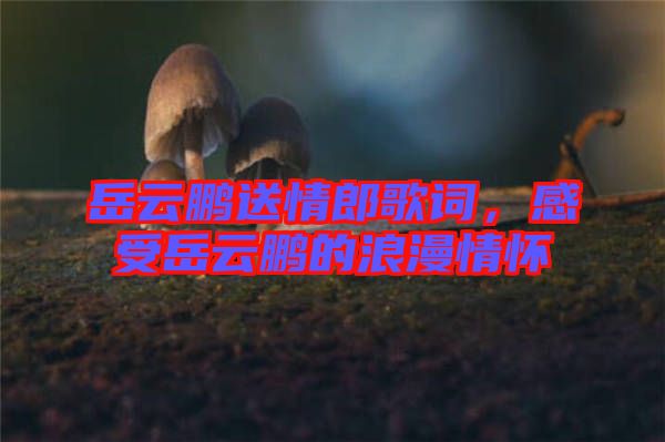 岳云鵬送情郎歌詞，感受岳云鵬的浪漫情懷