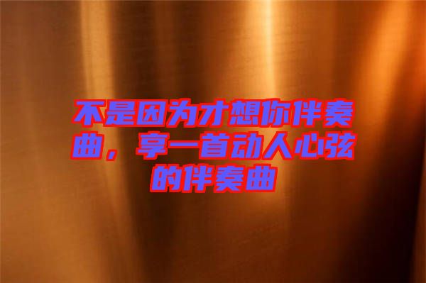 不是因為才想你伴奏曲，享一首動人心弦的伴奏曲